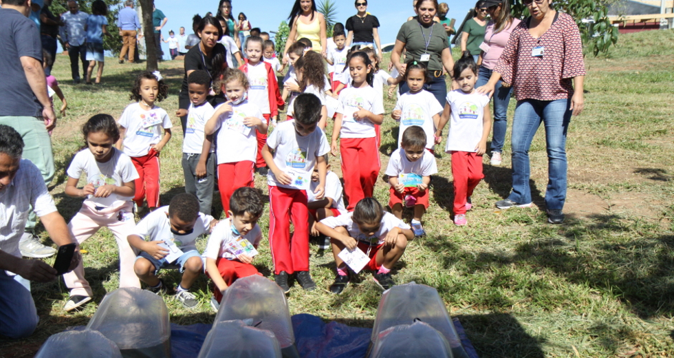 img_7915_claudio_vieira.jpg