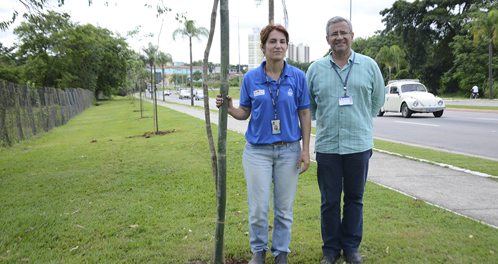 plantio-de-arvores-via-norte-20-12-2019-lucas-cabral-13.jpg