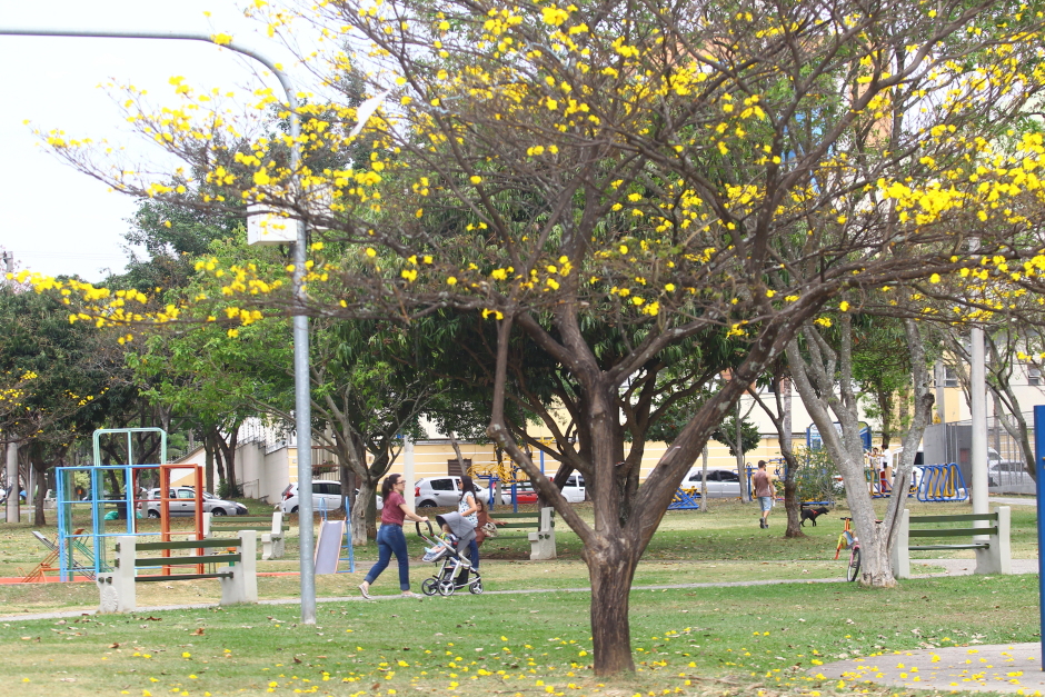 cv__1631_claudio_vieira.jpg