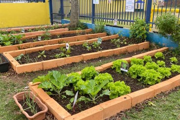 criancas-cultivam-alimentos-e-descobertas-em-projeto-de-horta-escolar-17.jpeg