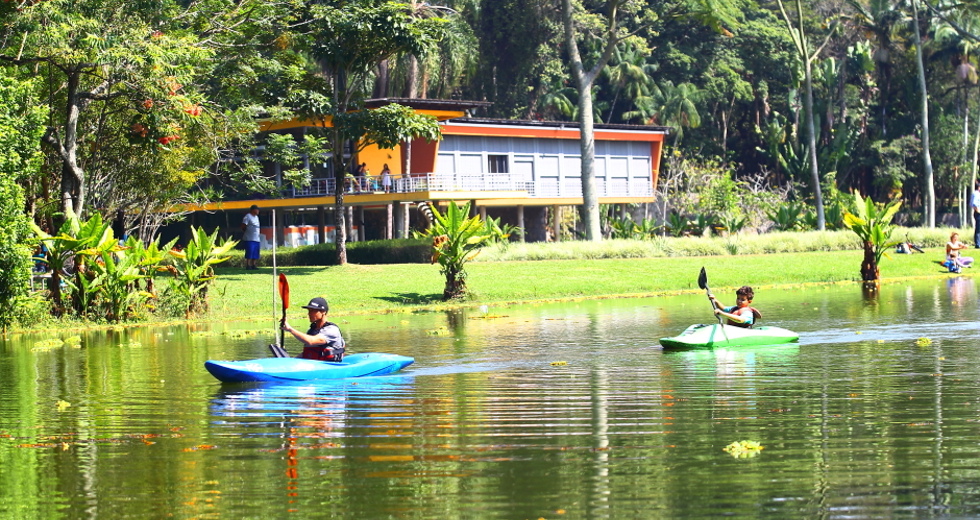 cv__7728-claudio_vieira.jpg