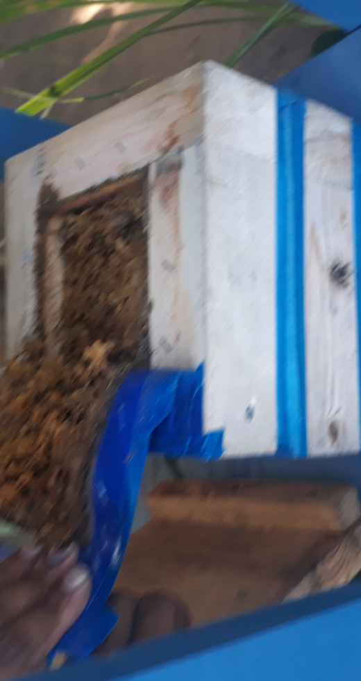 20210218_163343-1.jpg