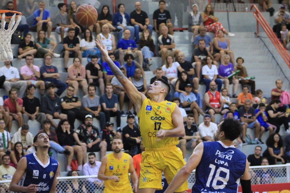 basket-3.jpg