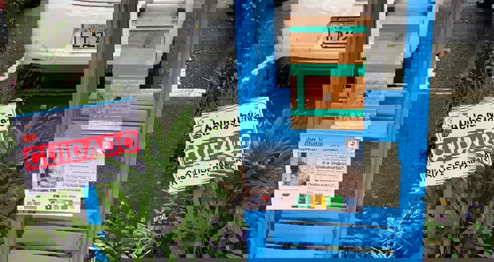 caixa-abelhas-2.jpeg