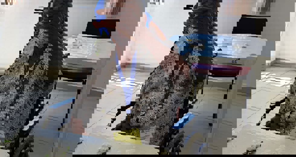 janeiro10.jpeg