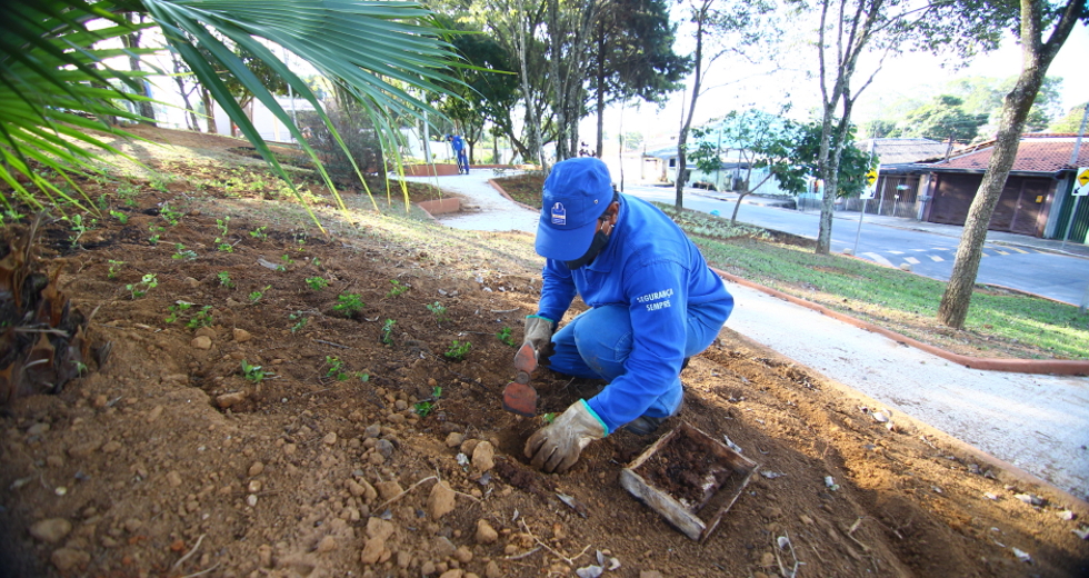 cv__3010_claudio_vieira.jpg