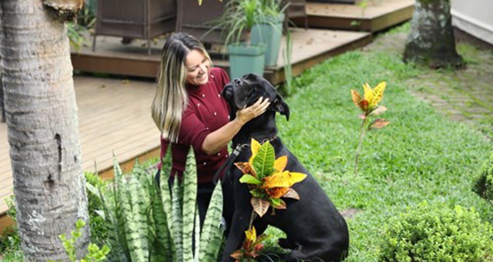 40ª fase do Meu Pet Feliz