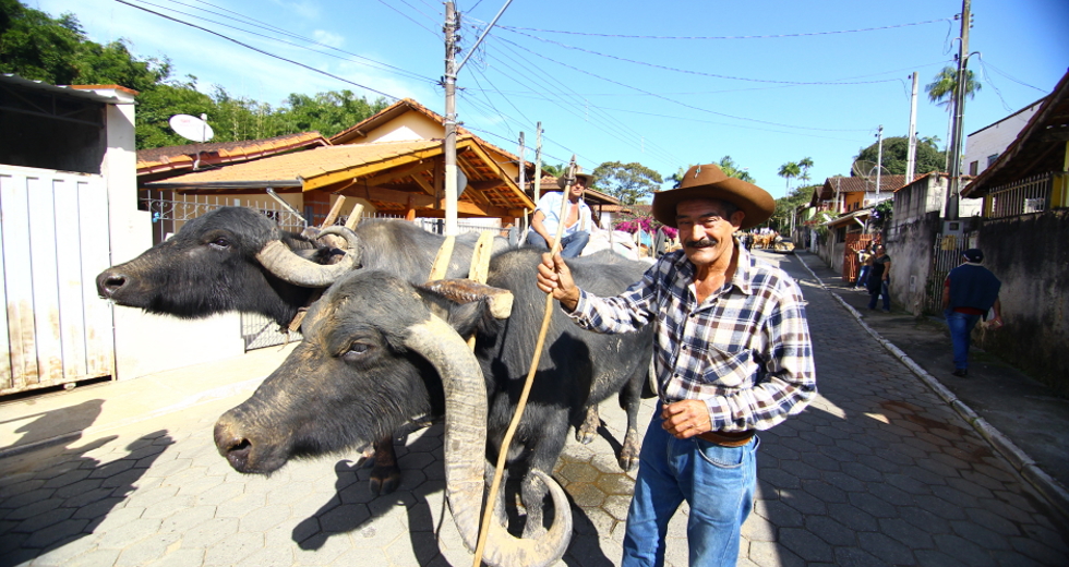 cv__4839-claudio_vieira.jpg