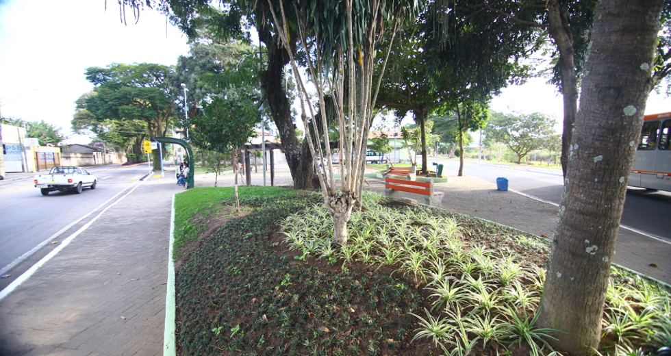 cv__3152_claudio_vieira.jpg