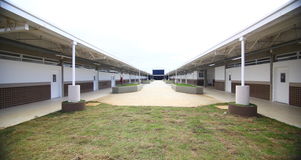 cv__4960_claudio_vieira.jpg