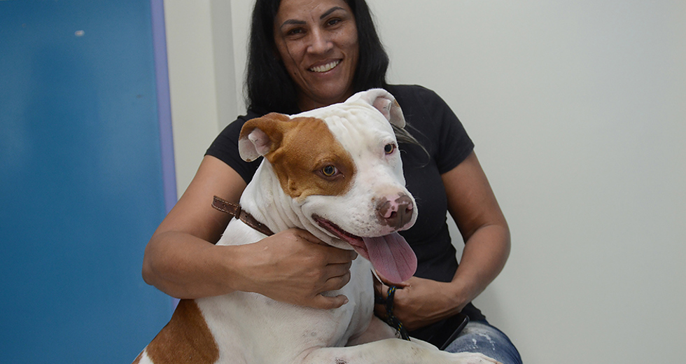 castracoes-quinta-fase-meu-pet-feliz-13-09-2019-lucas-cabral-47.jpg