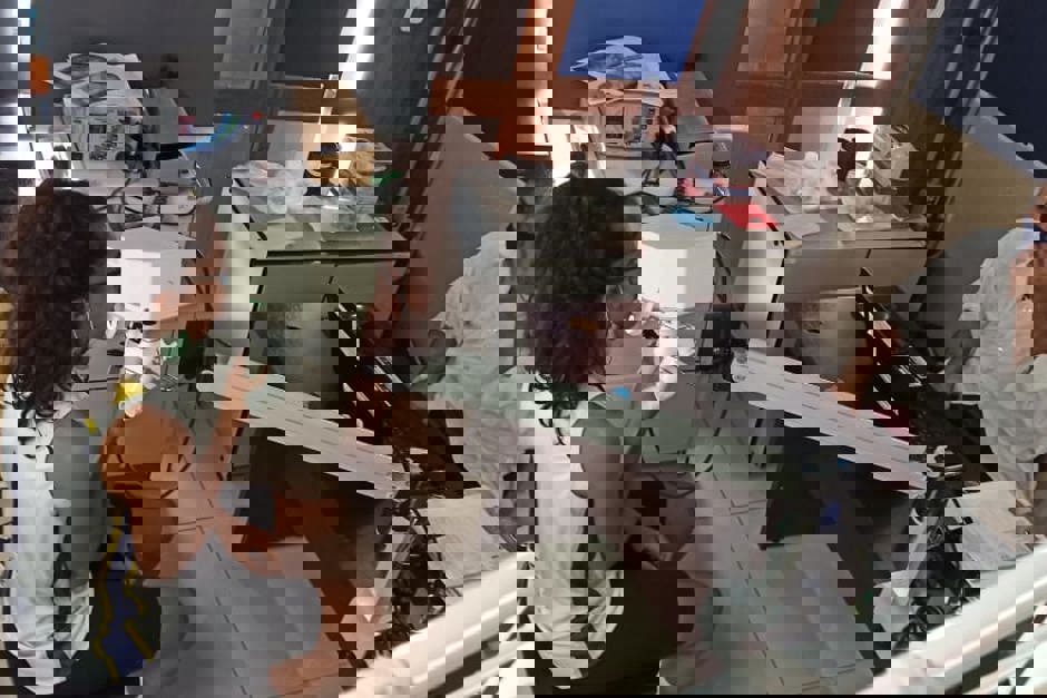 basq1.jpg