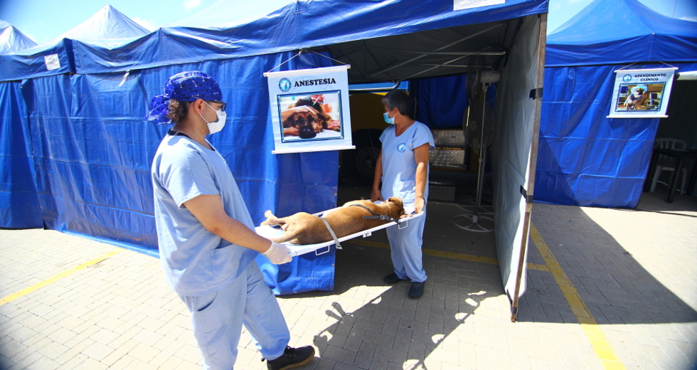 cv__9074_claudio_vieira.jpg