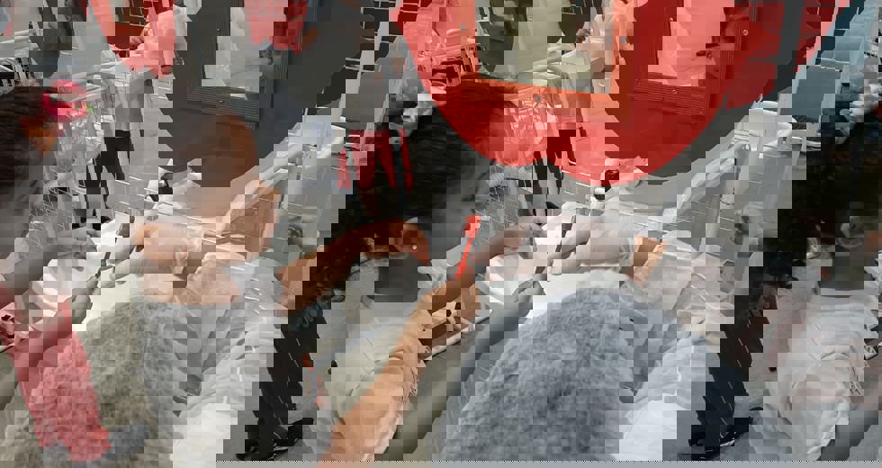 odonto22.jpeg
