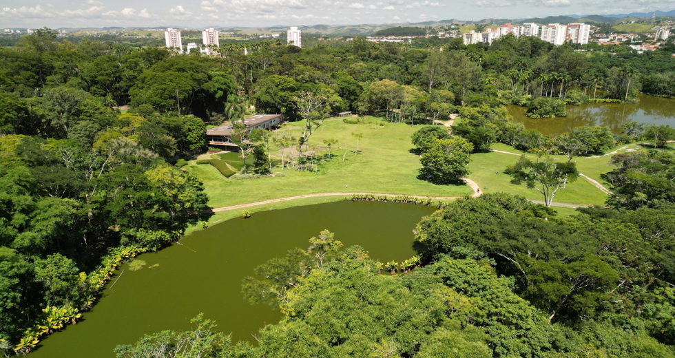 dji_0195.jpg