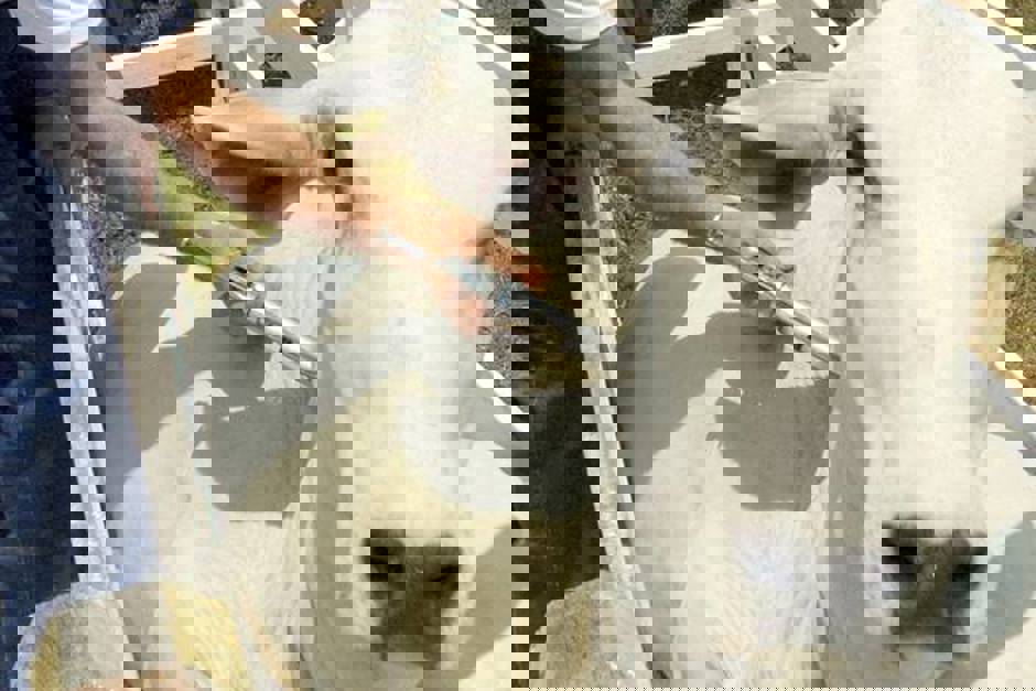 165f15c0-933a-4070-8c37-2eec02433402.jpeg