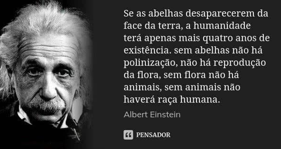 albert-einstein.png