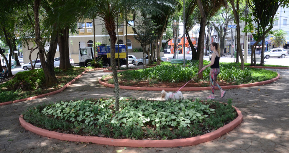 img-23-01-2019-praca-elza-ferreira-rahal-lc-12.jpg